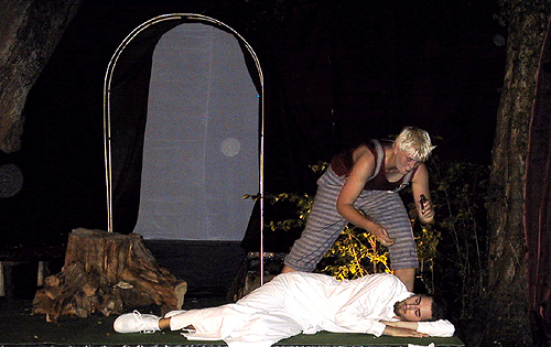 Ein Sommernachtstraum (2005) – Bild 16